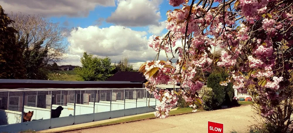 Gay Dog Boarding Kennels - Alresford pet otel
