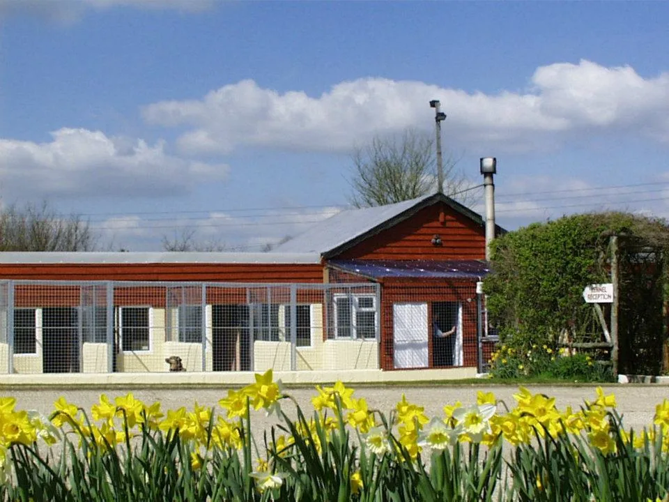 Gay Dog Boarding Kennels - Alresford pet otel görseli 3