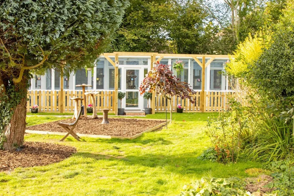 Longcroft Luxury Cat Hotel Four Marks, Hampshire - Alresford pet otel