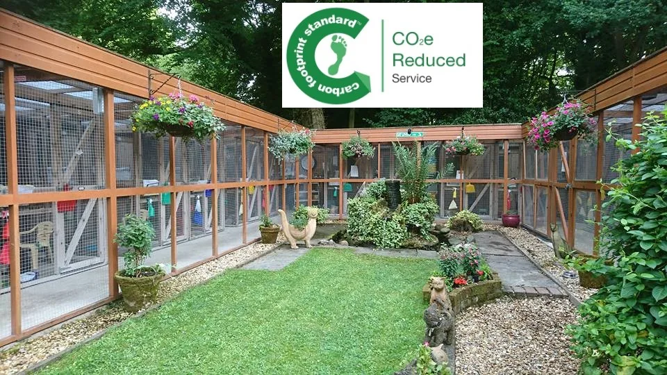 The Mews Boarding Cattery - Alresford pet otel