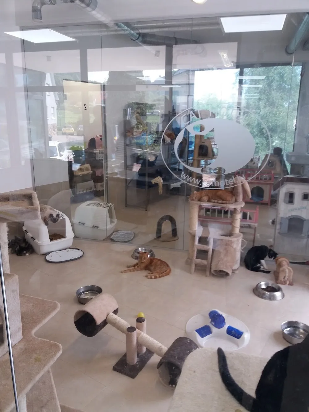 Cat Hotel - Pension pour chats - Alsace pet otel görseli 3