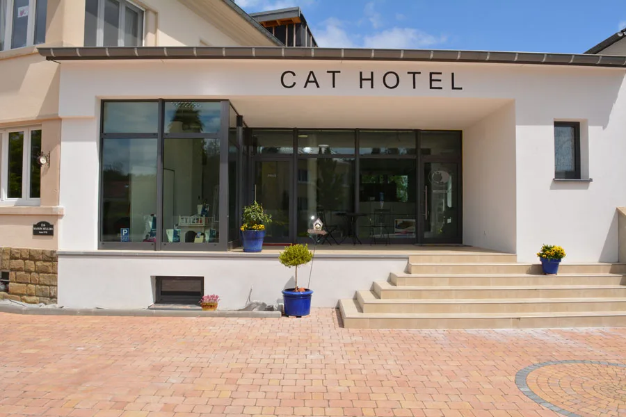 Cat Hotel - Pension pour chats - Alsace pet otel görseli 6