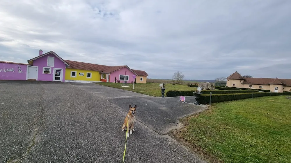 Club Vacances Pour Animaux - Alsace pet otel