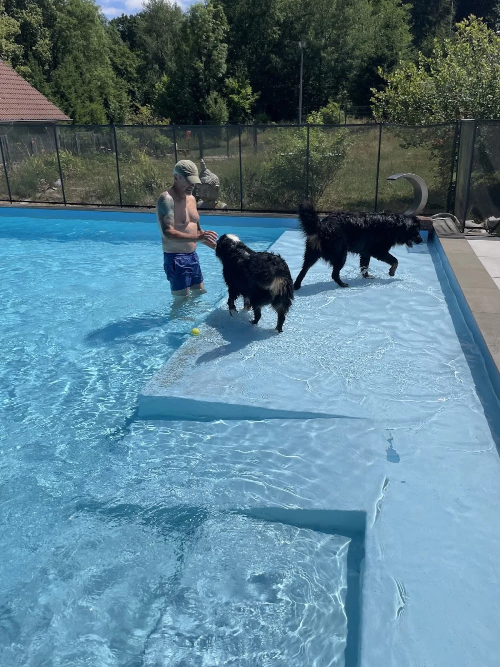 Dog Center Pension et psychologie canine - Alsace pet otel