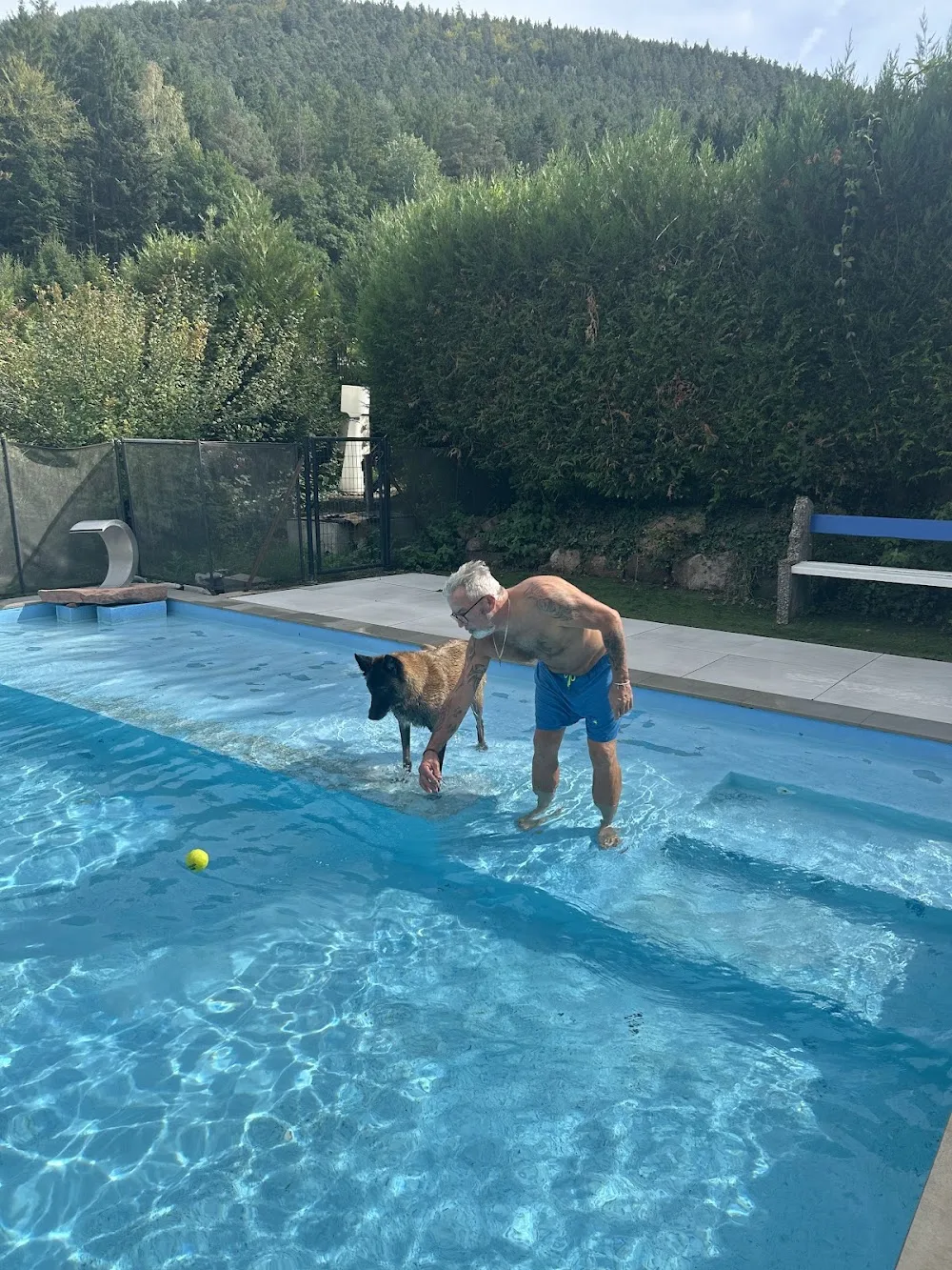 Dog Center Pension et psychologie canine - Alsace pet otel görseli 7