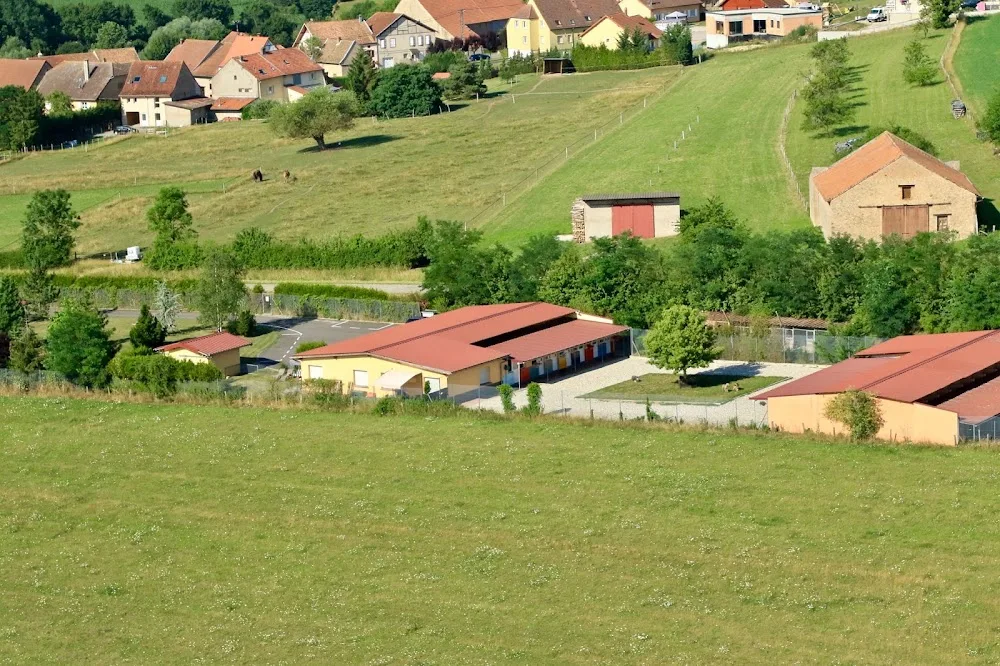 EDUCANIN - Alsace pet otel görseli 7