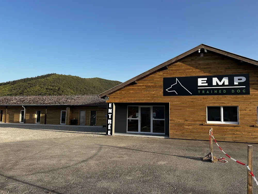 EMP TRAINED DOG - Alsace pet otel görseli 2