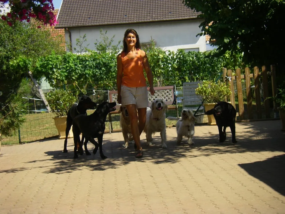 FERME D'ASTRALE - Alsace pet otel görseli 3
