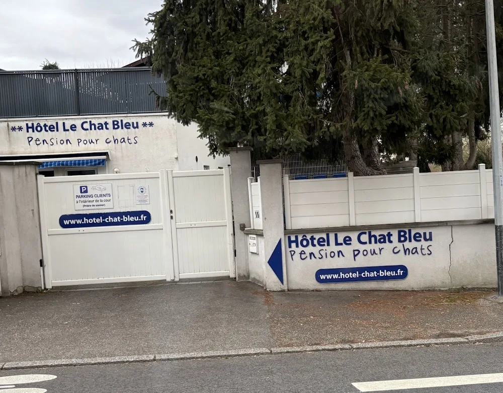 Hôtel Le Chat Bleu - Alsace pet otel görseli 3