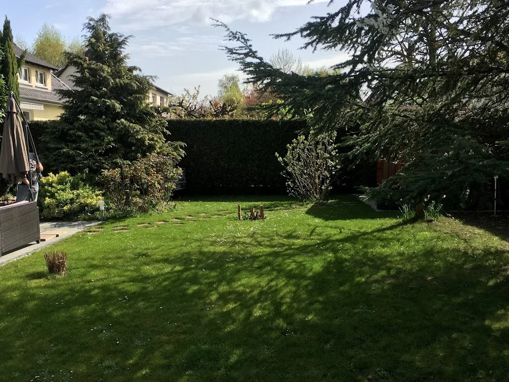 Le Dog Pawlace - Alsace pet otel görseli 6
