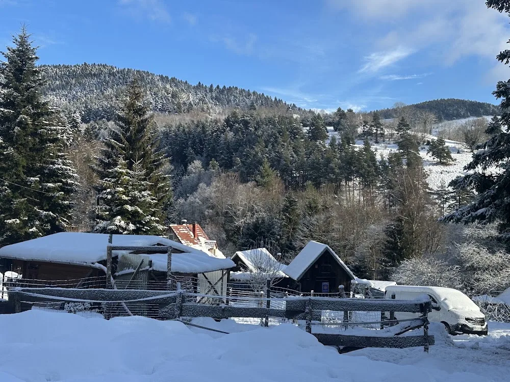 Pension canine Brette Céline - Alsace pet otel görseli 2