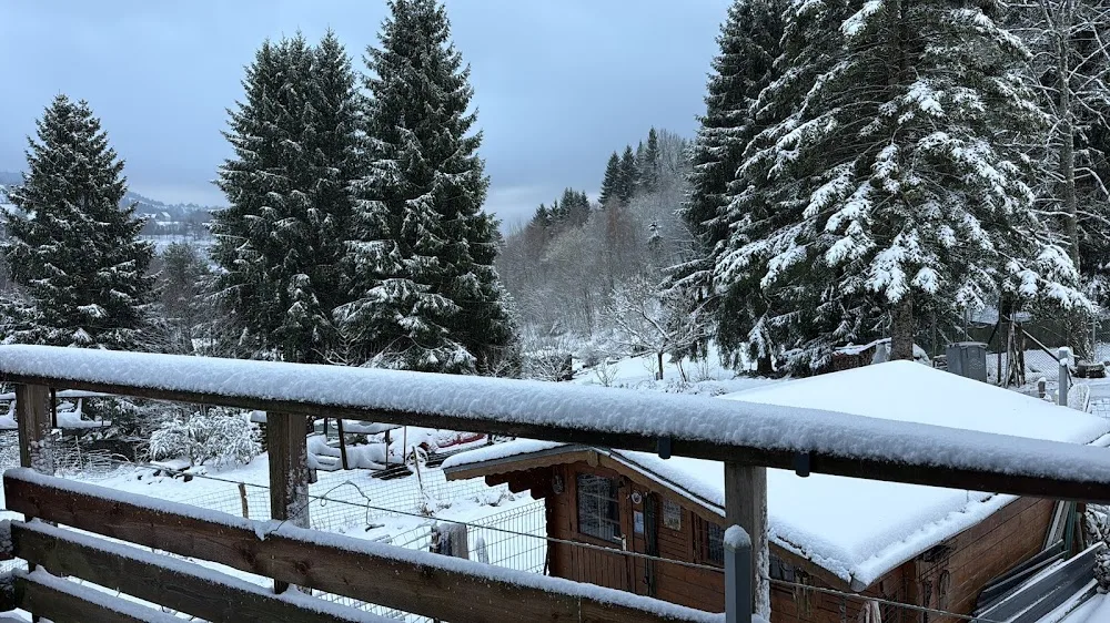 Pension canine Brette Céline - Alsace pet otel görseli 3