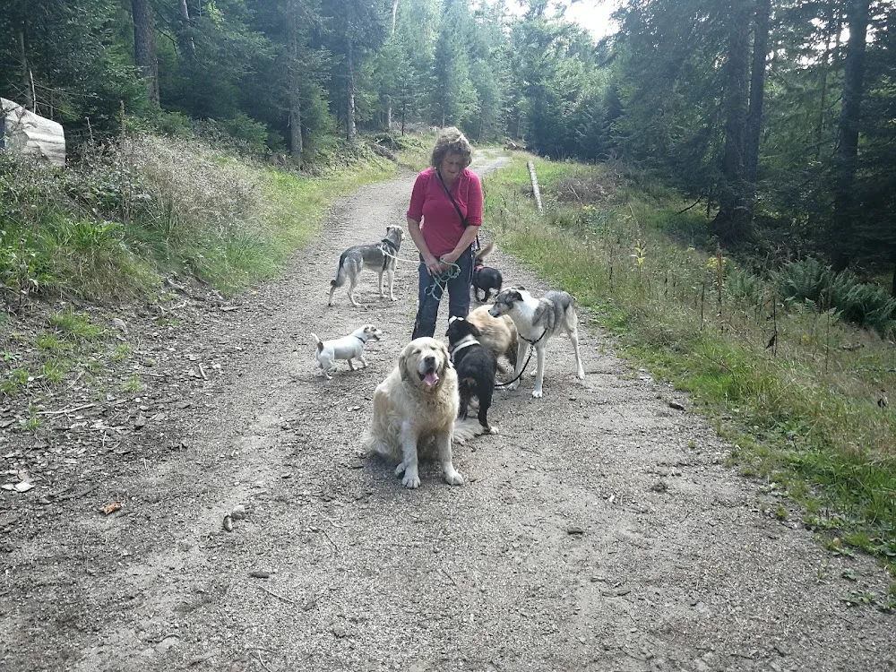Pension Canine Chez Sophie - Alsace pet otel görseli 6