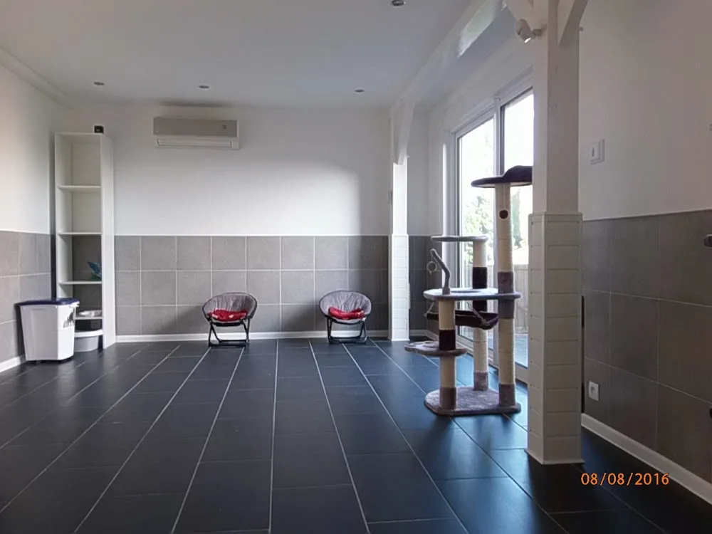 Pension chats et NAC Alexander Garden - Alsace pet otel