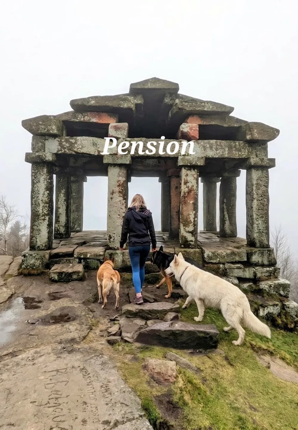 Pension Chien•Chat•NAC - Les Anges de Morphée - Alsace pet otel görseli 6