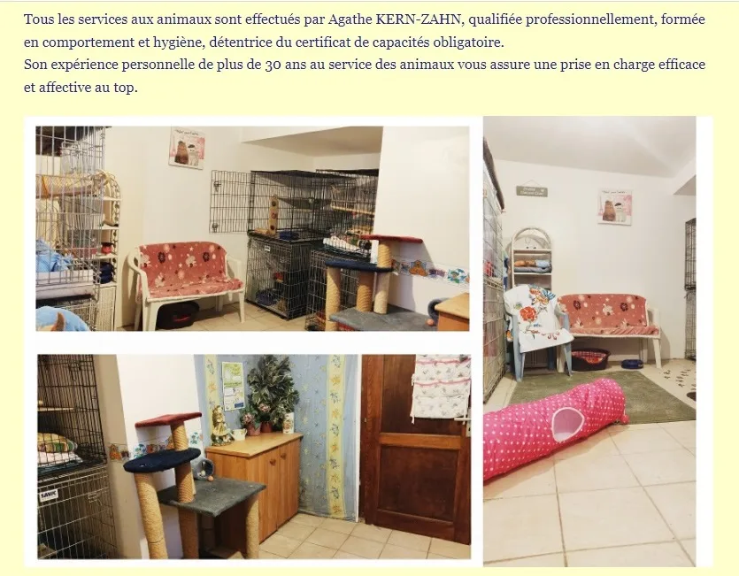pension pour chats Andlau - Alsace pet otel görseli 2