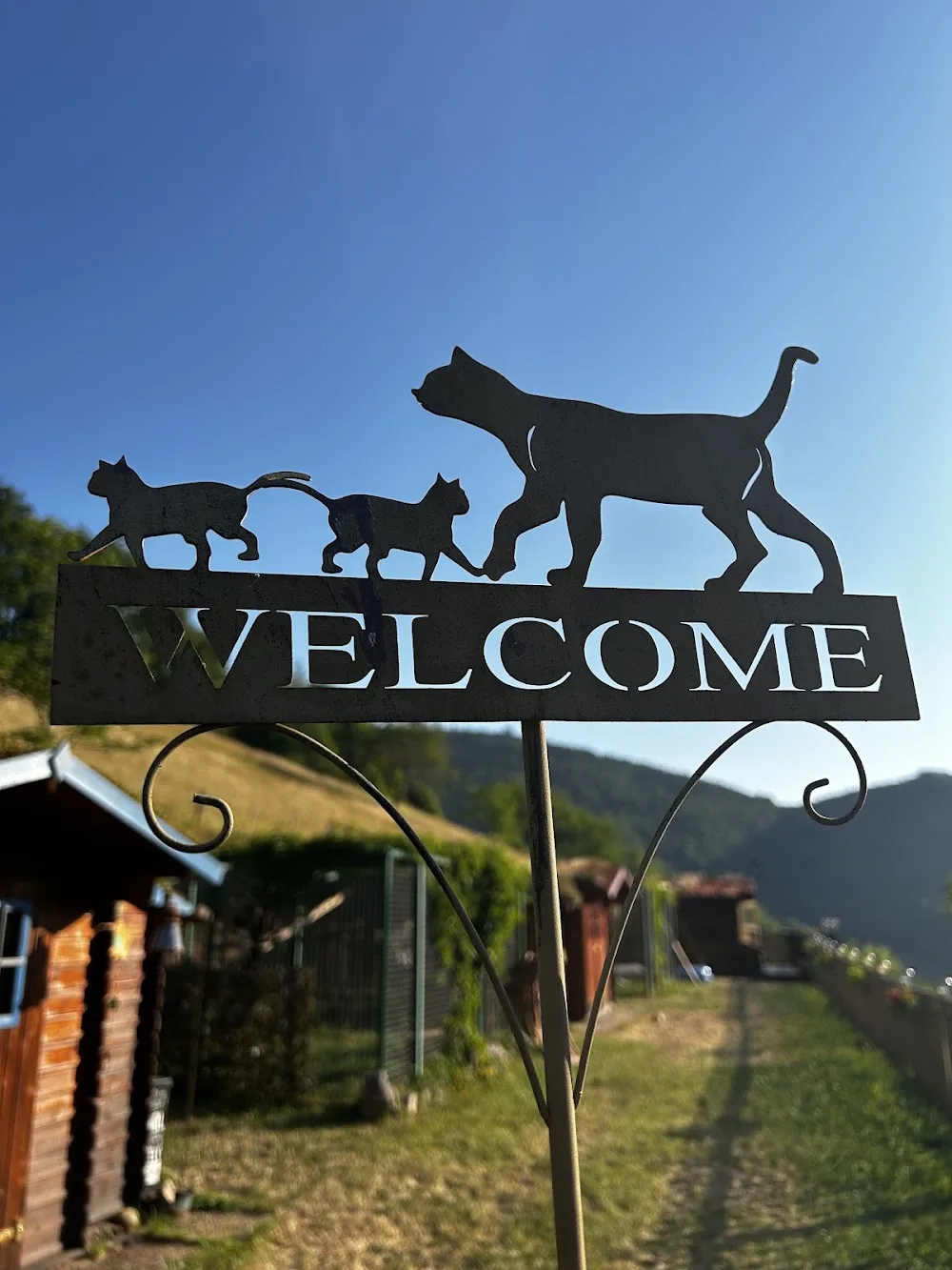 Pension pour chats Mountain Cats Paradis - Alsace pet otel görseli 6