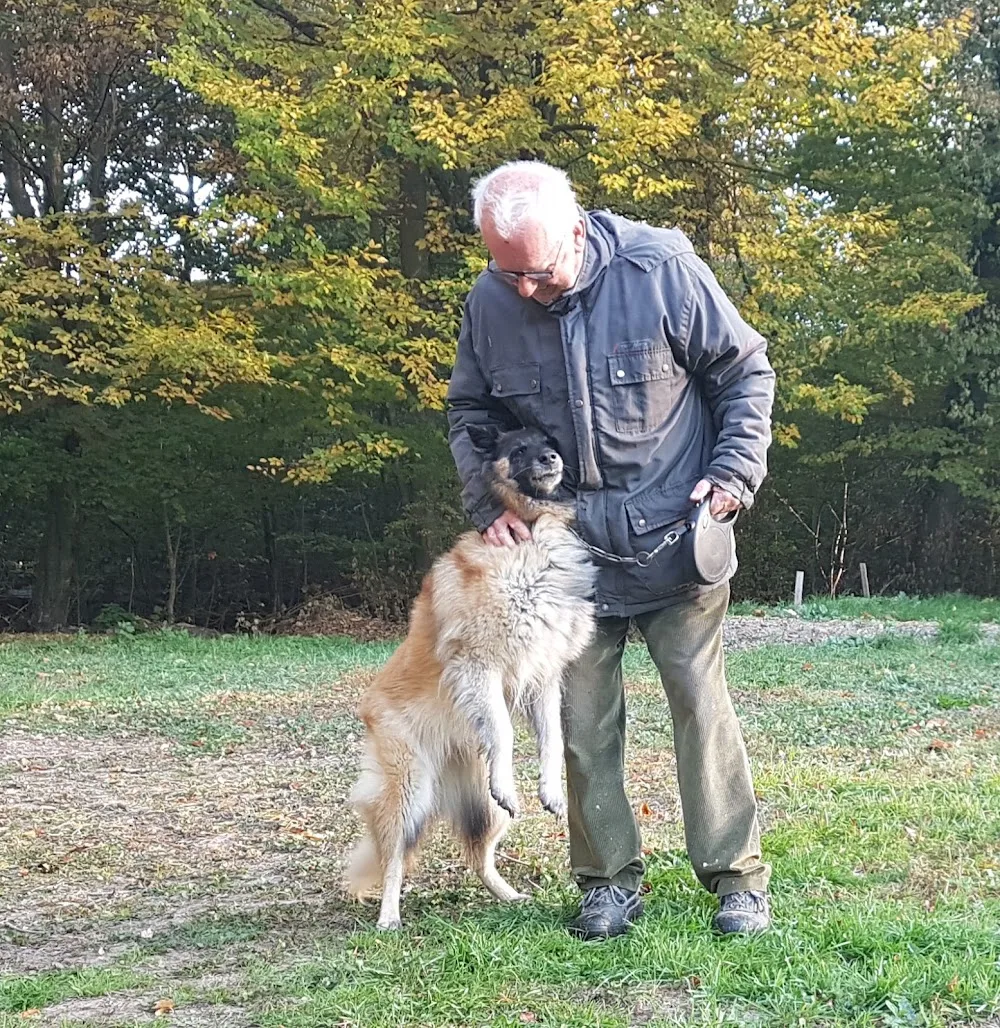 SARL PRAIRIE DE LA SOMMERAU - Alsace pet otel görseli 7