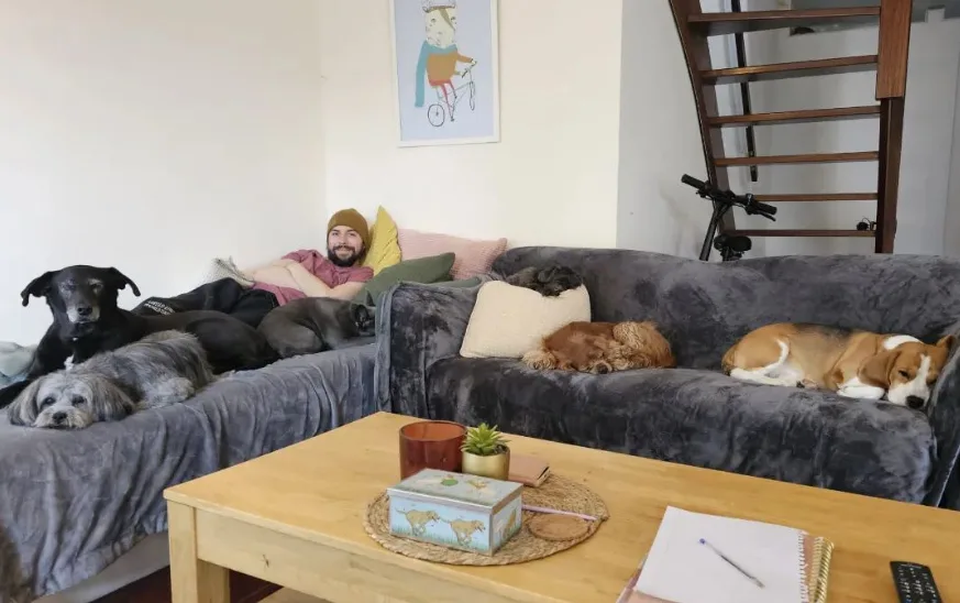DIHOO Dog Hotel - Amsterdam pet otel görseli 3