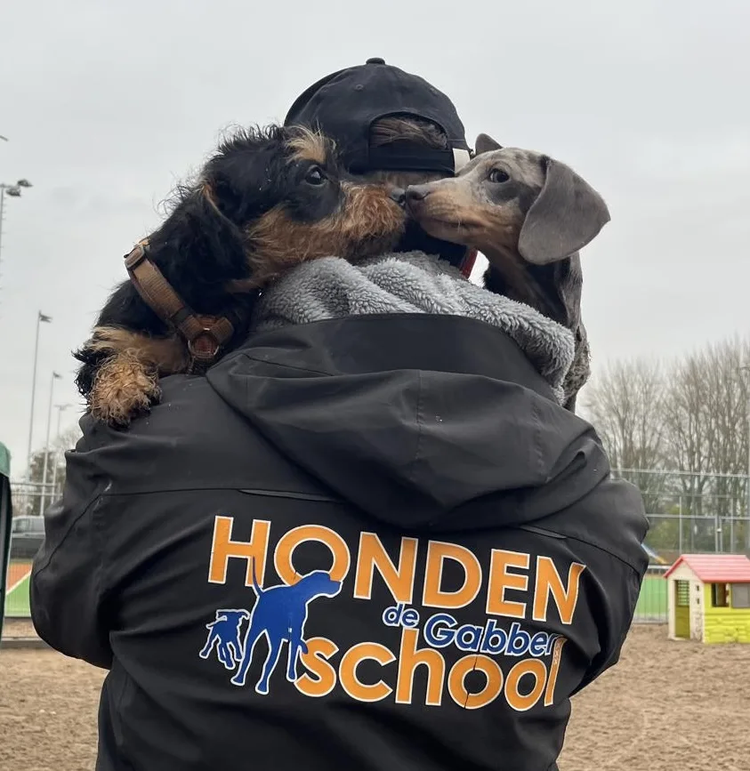 Hondendagopvang 'De Gabber' - Amsterdam pet otel görseli 3