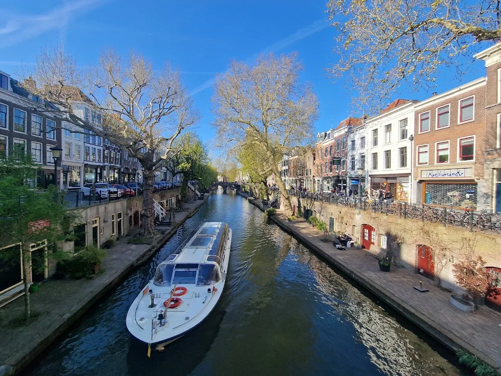 Hondenpension Meijenrode - Amsterdam pet otel görseli 4