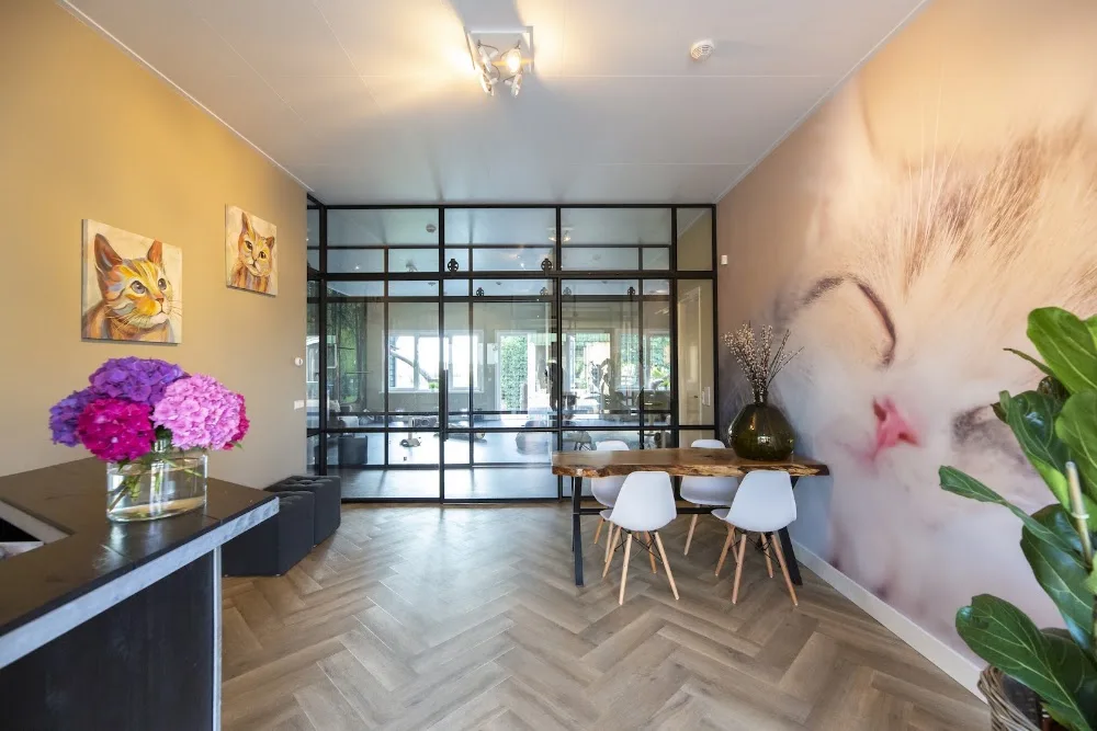 Kattenhotel Vechtzicht - Amsterdam pet otel görseli 3