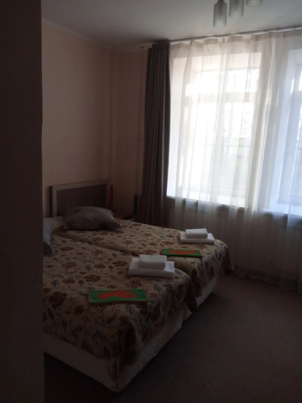 Kafe Hotel Amur - Amur pet otel görseli 4