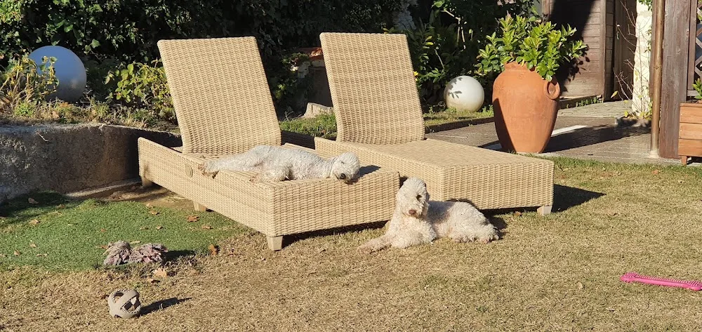 Casa del Cane - Ancona pet otel görseli 3