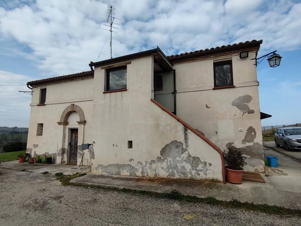 Pensione Per Cani - La Tana Sul Colle - Ancona pet otel görseli 7