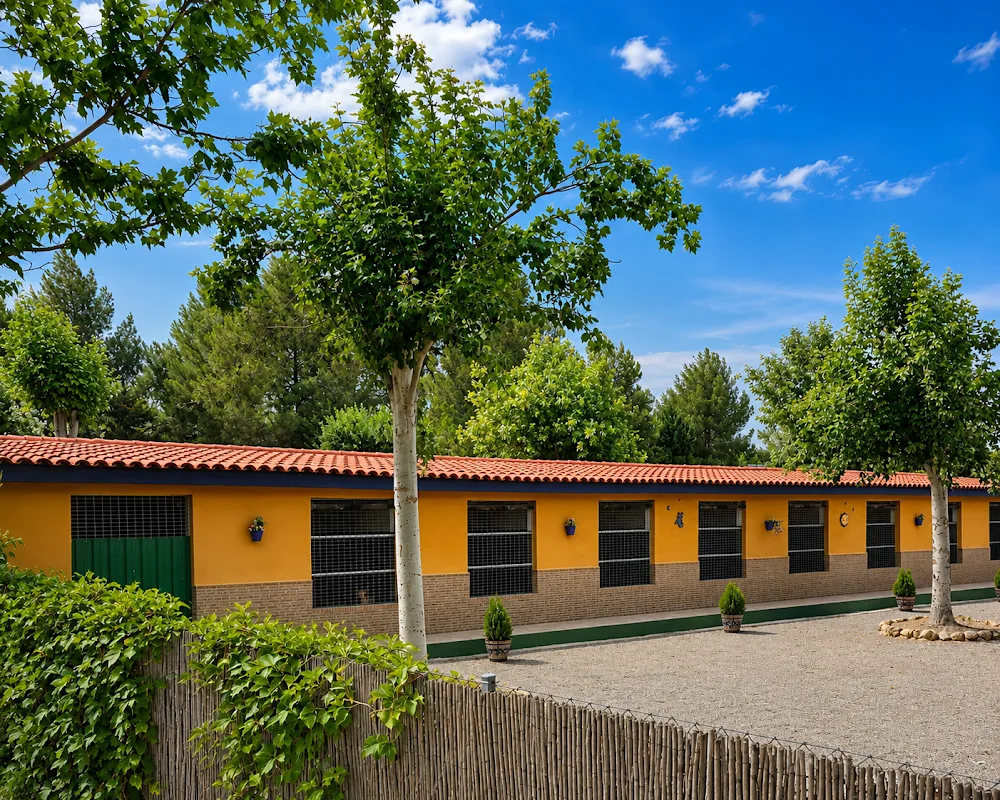 Centro Canino Delagos - Andalusia pet otel görseli 3
