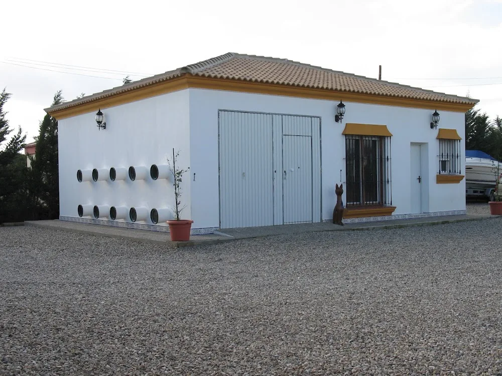 Indiana Cat Hotel - Andalusia pet otel görseli 2