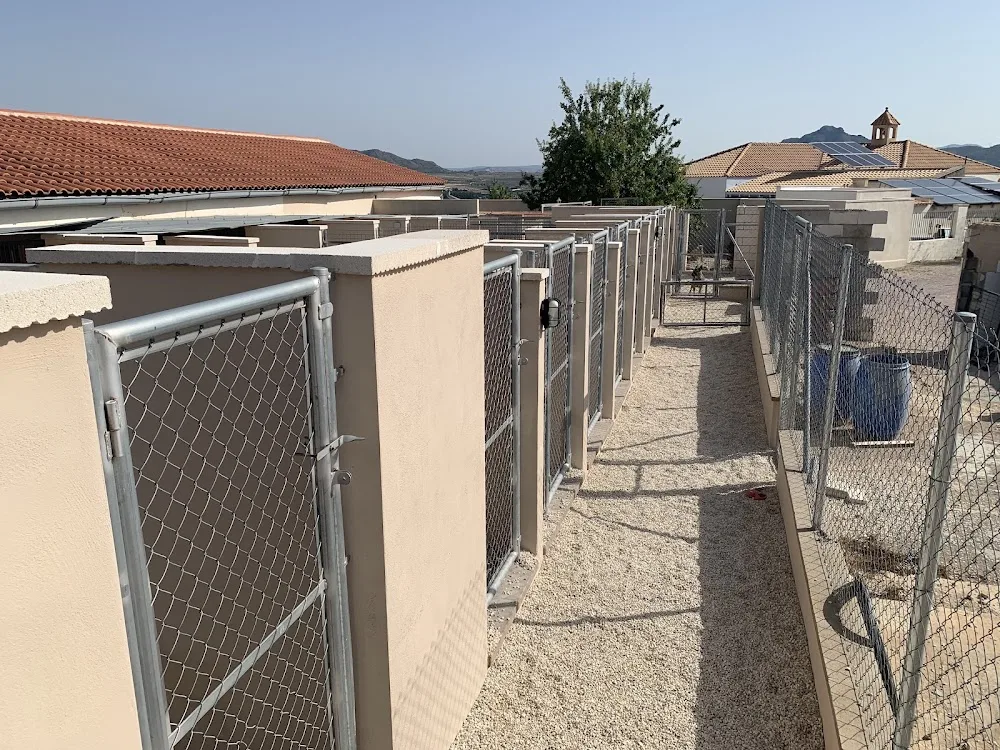 Lesonjas Boarding Kennels - Andalusia pet otel görseli 3