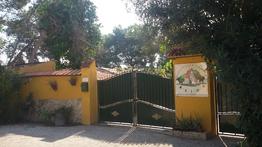 Residencia Canina Reina - Andalusia pet otel görseli 2