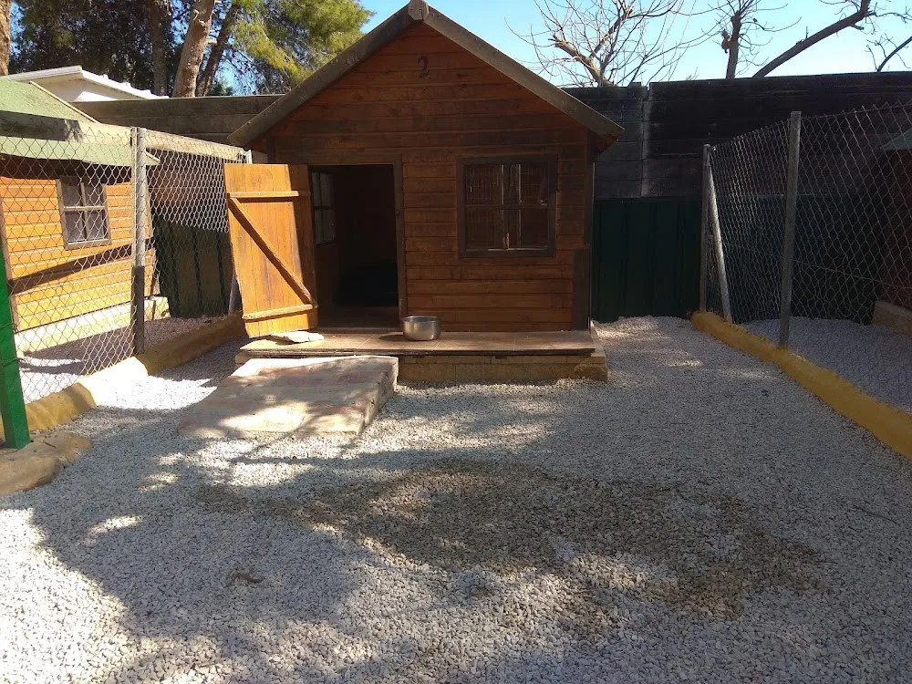 Residencia Canina Reina - Andalusia pet otel görseli 3