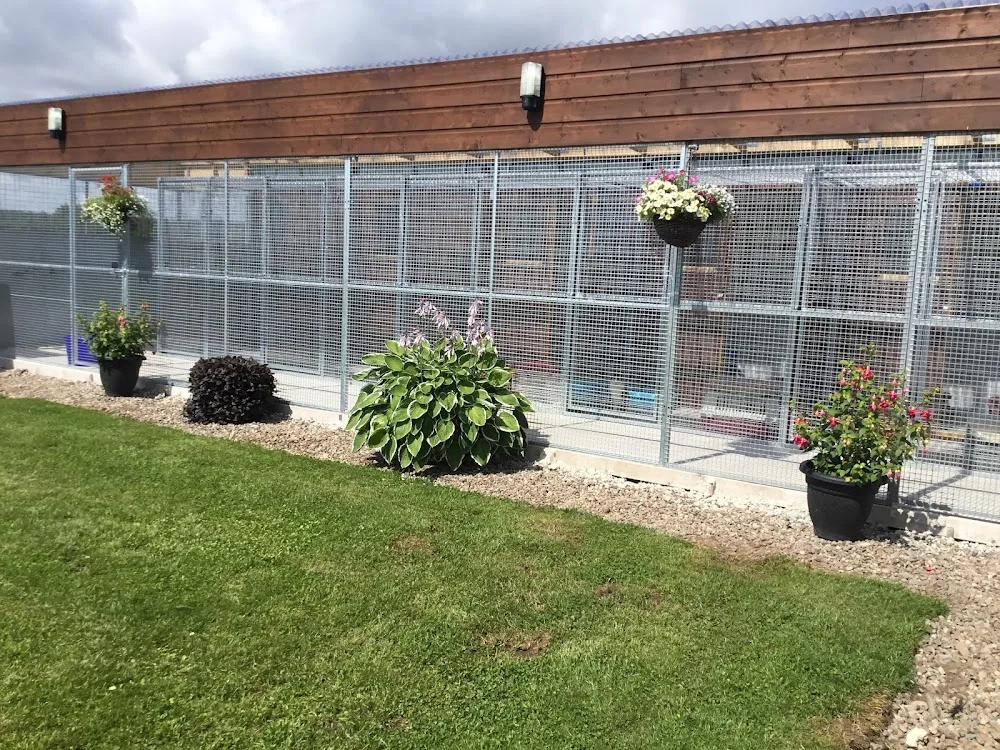 smithyfield cattery - Angus pet otel görseli 2