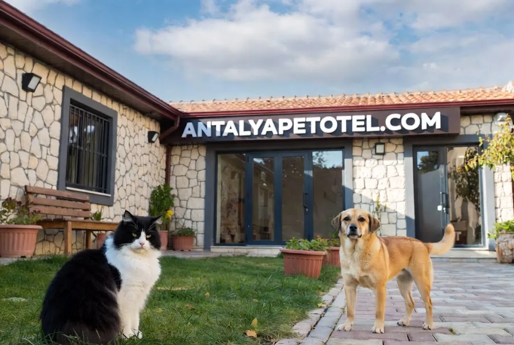 xPet Otel - xPet Otel görseli 14