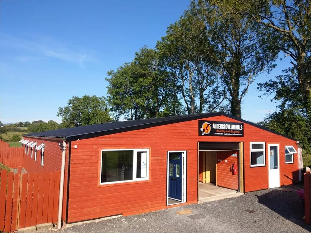 Aldergrove Animals Boarding Kennels & Dog Grooming - Antrim and Newtownabbey pet otel