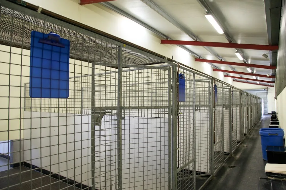 Ballyharvey Nursing & Boarding Kennels - Antrim and Newtownabbey pet otel