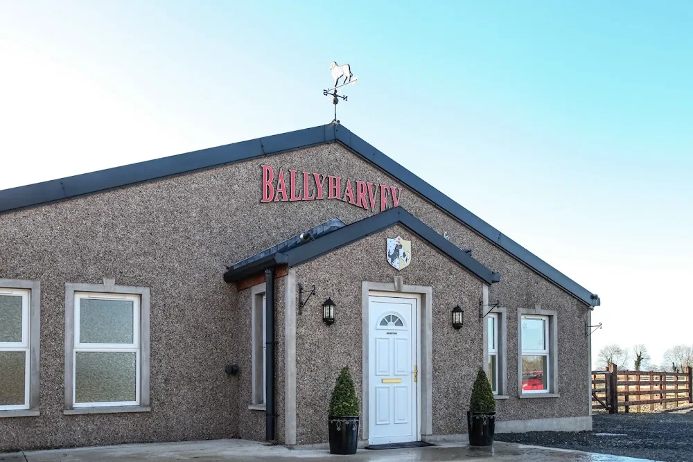 Ballyharvey Nursing & Boarding Kennels - Antrim and Newtownabbey pet otel görseli 5