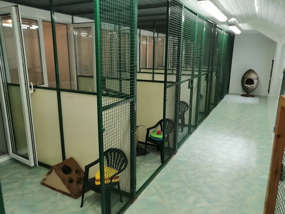 Crookedstone Cattery - Antrim and Newtownabbey pet otel görseli 3