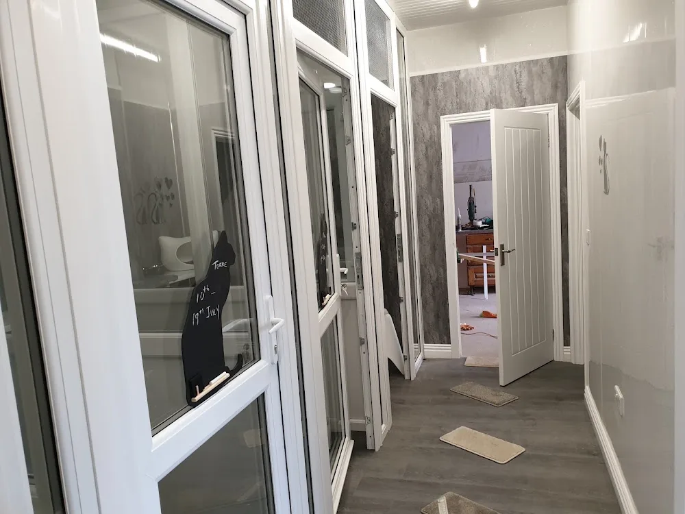 Sheerbliss Cattery - Antrim and Newtownabbey pet otel görseli 2