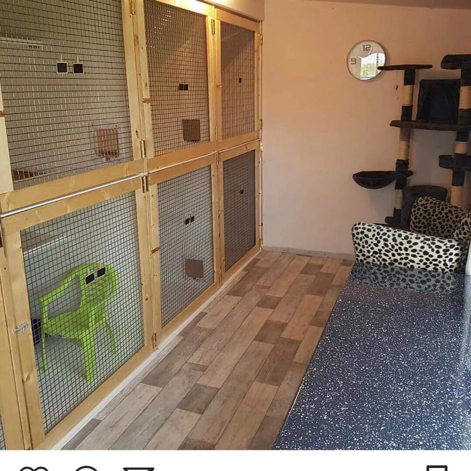 Tinkerbells Cattery Newtownabbey - Antrim and Newtownabbey pet otel görseli 2
