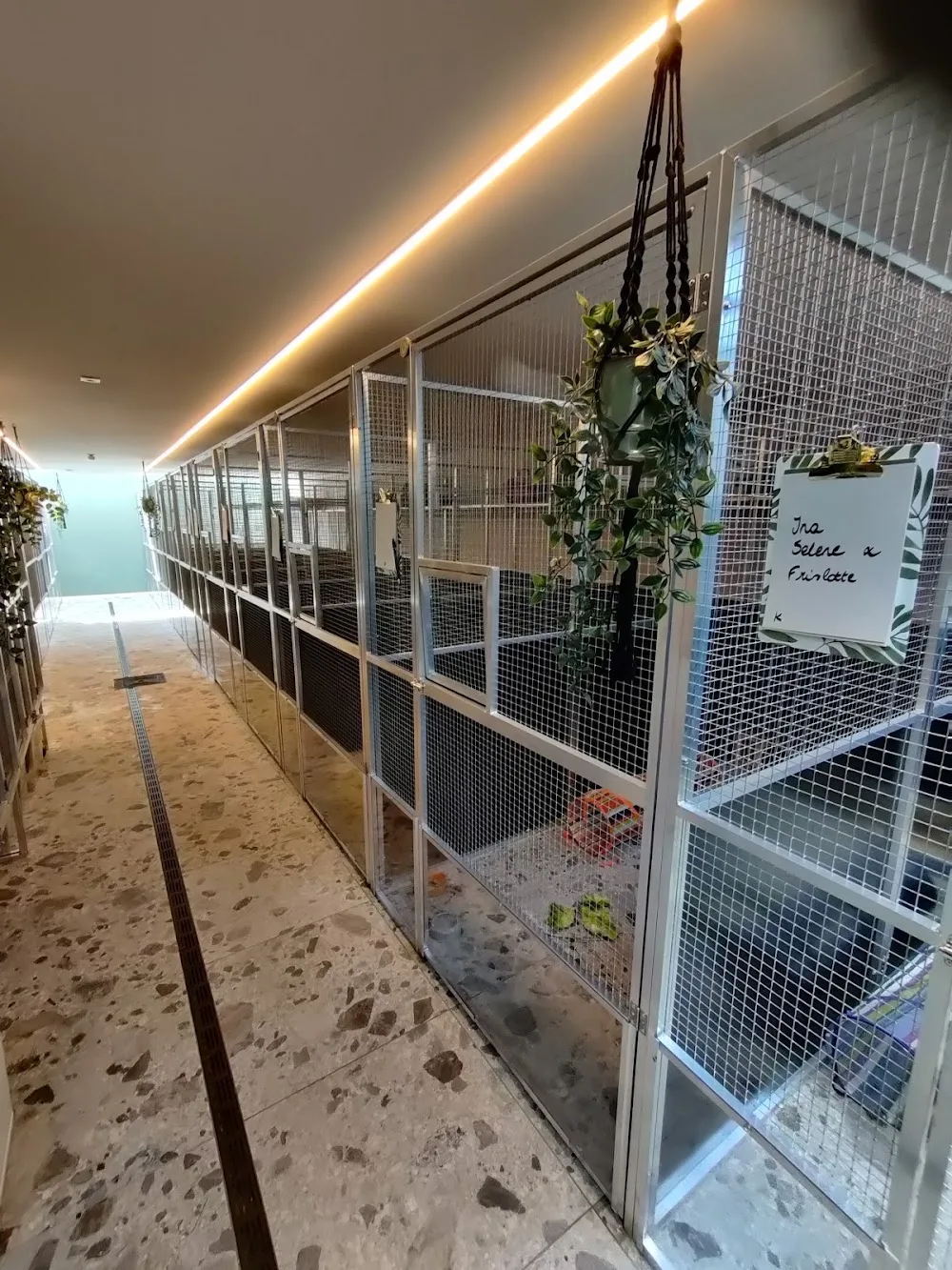 Dierenpension & Dierenwebwinkel Oase - Antwerp pet otel görseli 3