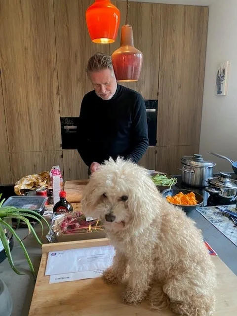Dogi Stay - Antwerp pet otel