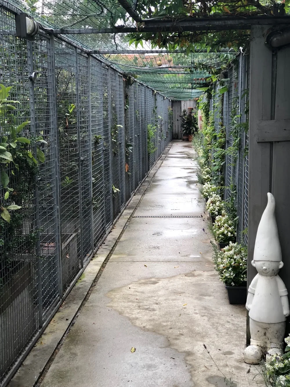 Kattenpension Youka - Antwerp pet otel