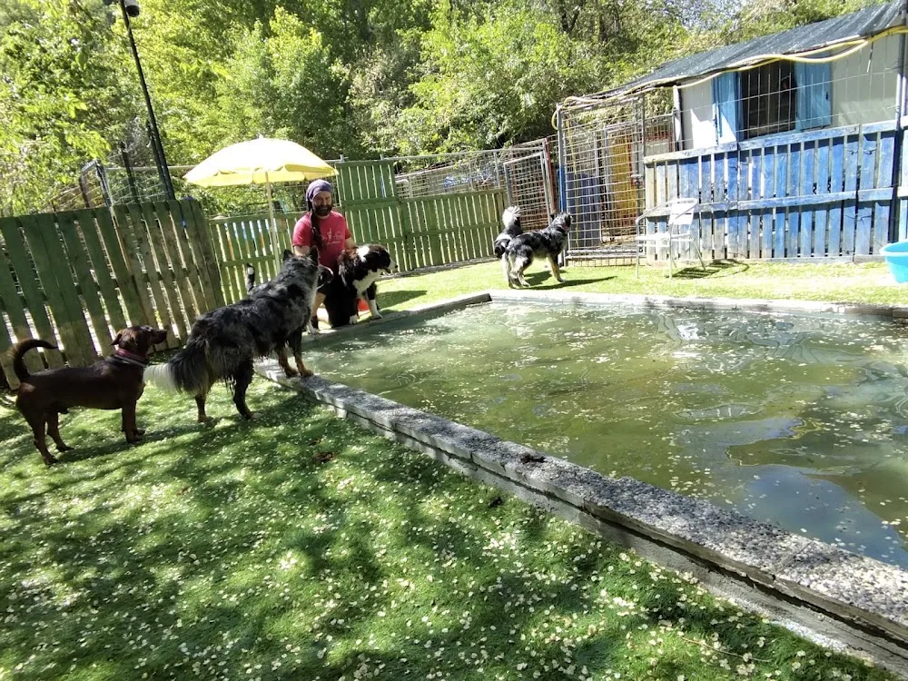 L'arca di Noah Dog Resort vda - Aosta Valley pet otel görseli 3