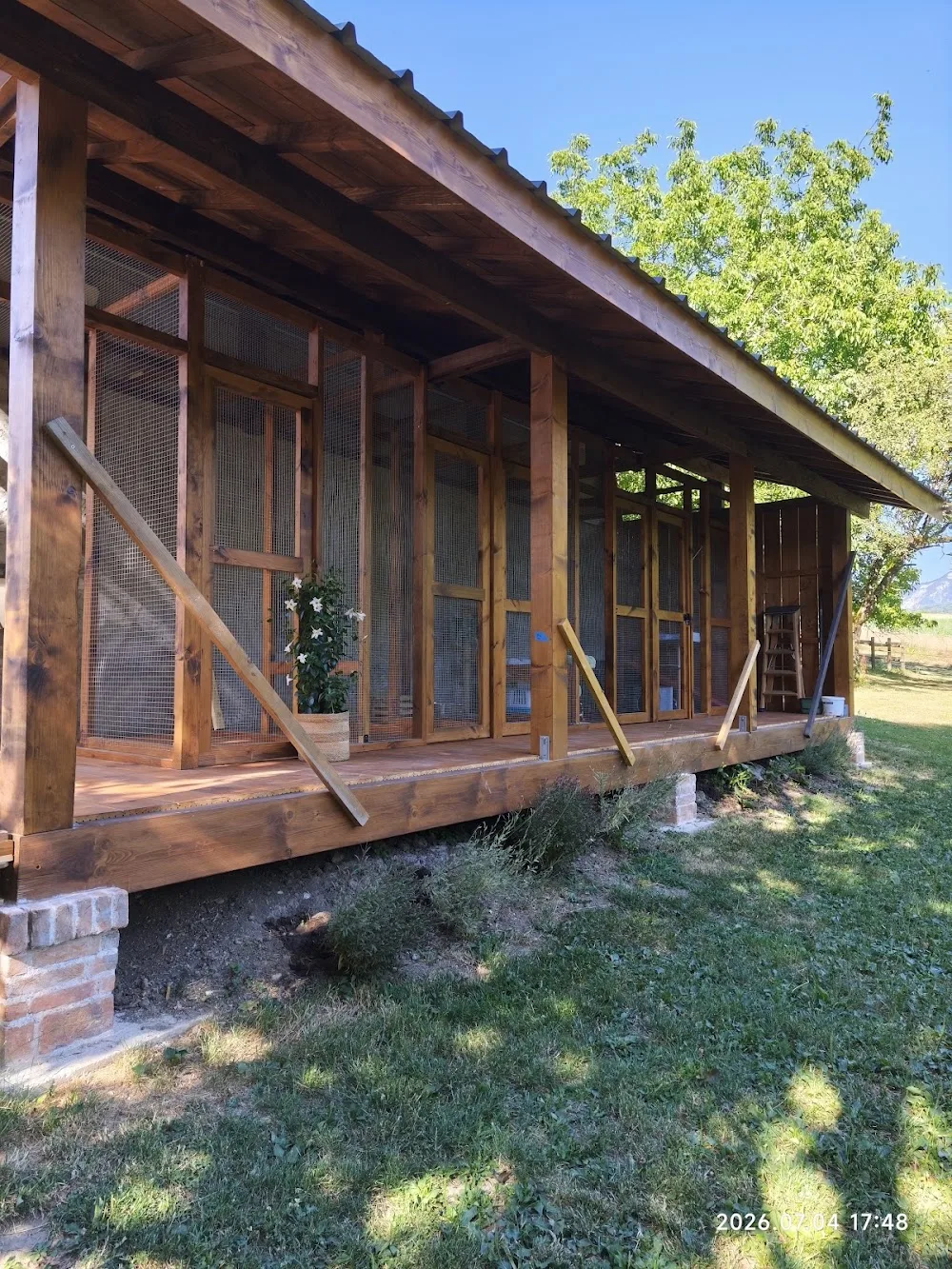 Sereni'cat - Aoste pet otel görseli 3