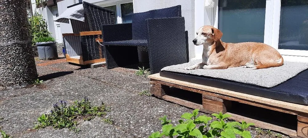 Aebi Dog - Hundepension - Appenzell Innerrhoden pet otel