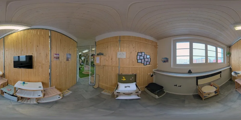 Aristotel GmbH, Swiss Luxury & SPA Cat Hotel - Katzenhotel - Appenzell Innerrhoden pet otel görseli 3