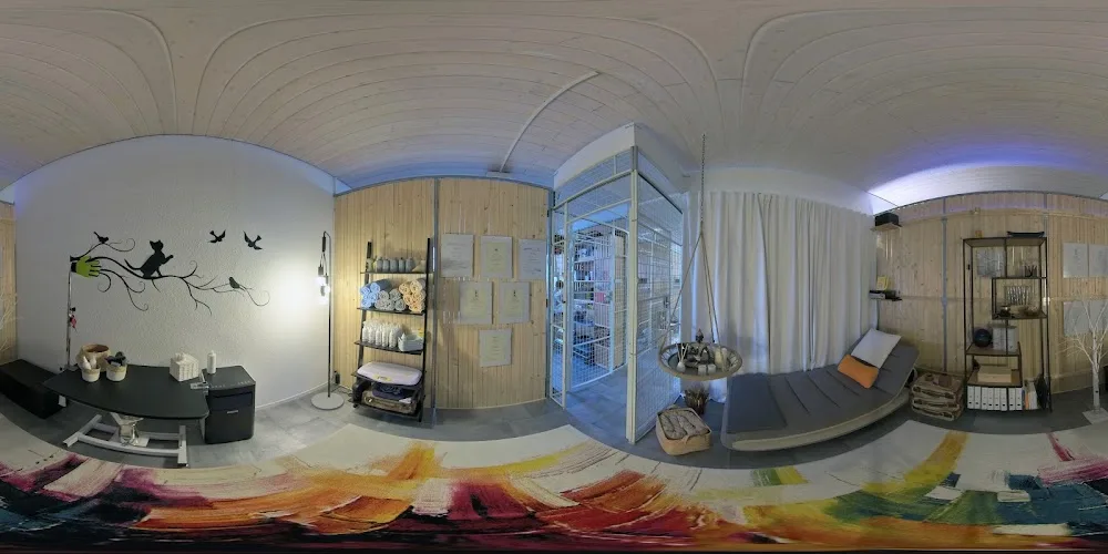 Aristotel GmbH, Swiss Luxury & SPA Cat Hotel - Katzenhotel - Appenzell Innerrhoden pet otel görseli 4